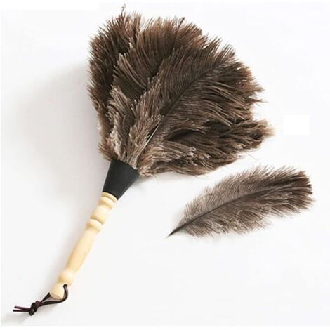 Staubwedel, Staubwedel für den Haushalt mit Holzgriff, hochwertiger Staubwedel aus echten Straußenfedern.
