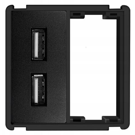 Steckplatzmodul schwarz USB 2x 2,4A RTX SH-System