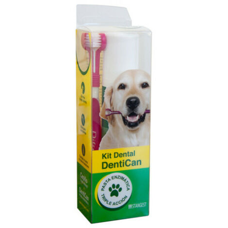 Stegest Dental Kit Pinsel + Paste