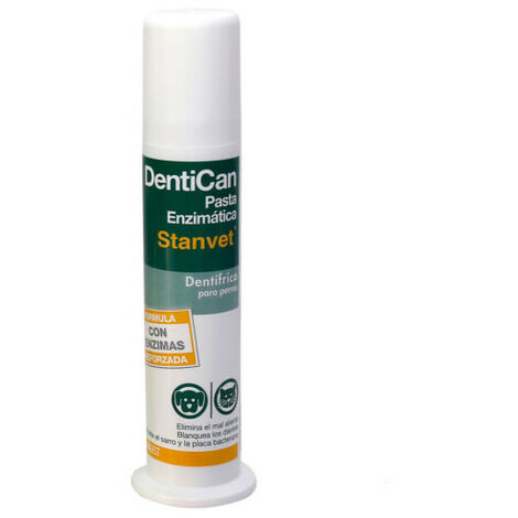 Stegestes dentican enzymatischer Paste 100 ml