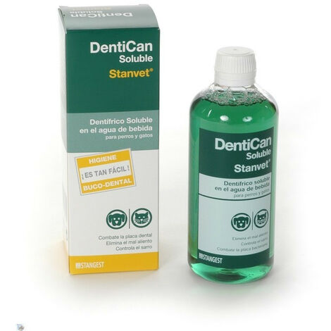 Stegestes dentikanisch lslicher 250 ml
