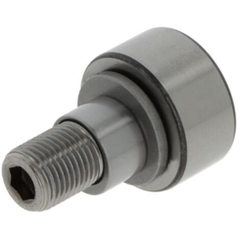 Stehlager-Gehäuseeinheit RASE100 100mm Exzenterspannring INA