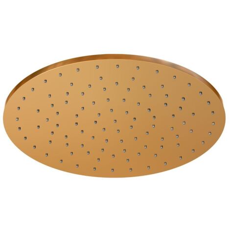 Steinberg Serie 100 Kopfbrause, Regenbrause, rund, 300x8 mm,