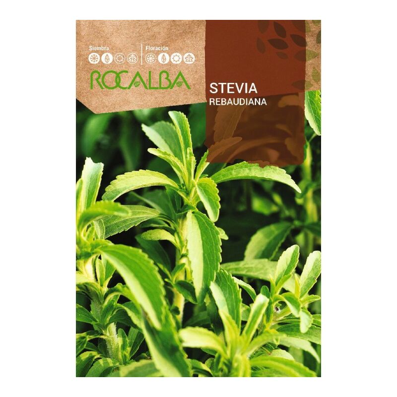 

Stevia Rebaudiana - Sobre De Semillas 0,02 Gr