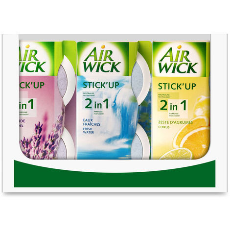 Stick-up 2en1 Parfums Assortis