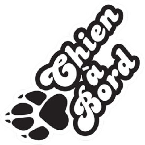 sticker Chien a bord 12x5cm