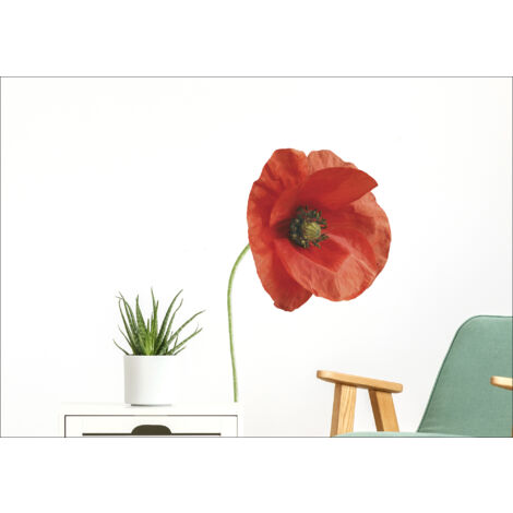 Sticker décoratif, photo de 3 fleurs coquelicots rouges, 68 cm X 24 cm