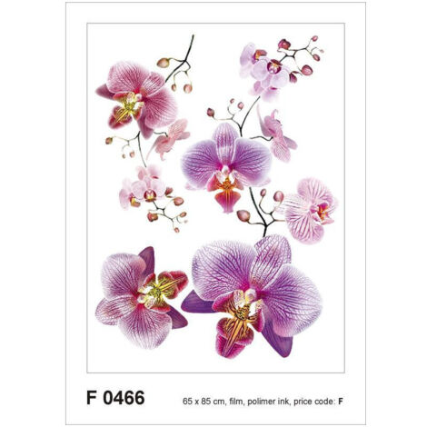 Sticker mural - Fleurs Roses - 65 x 85 cm