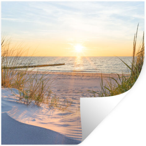 STICKER MURAL Plage - Soleil - Dune - Herbe - Sable - Horizon 50x50 cm