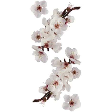 Sticker photographic blossom Crearreda adesivo murale frasi famose 15x31 cm