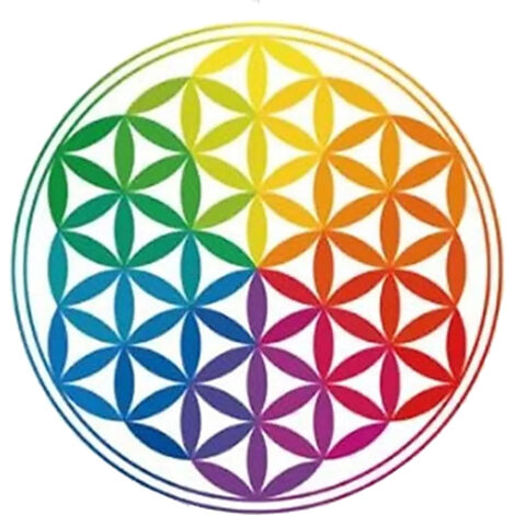 Sticker pour Fenêtres Fleur de vie