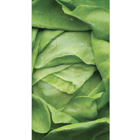 Sticker réfrigérateur et lave vaisselle, laitue verte croquant frais alimentation saine déco, 180 cm X 100 cm