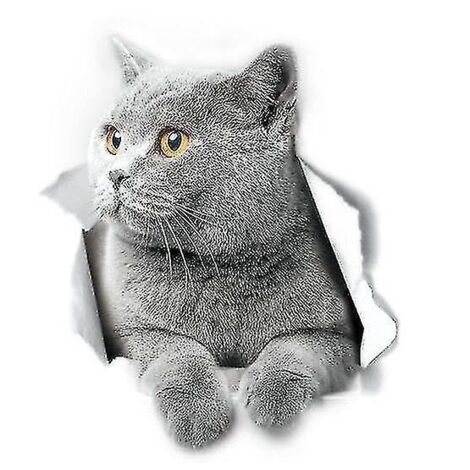 Stickers muraux chat British Shorthair, autocollant pour toilettes chat British Shorthair, autocollant 3D chat pour vitre et pare-chocs de voiture (2 pièces)
