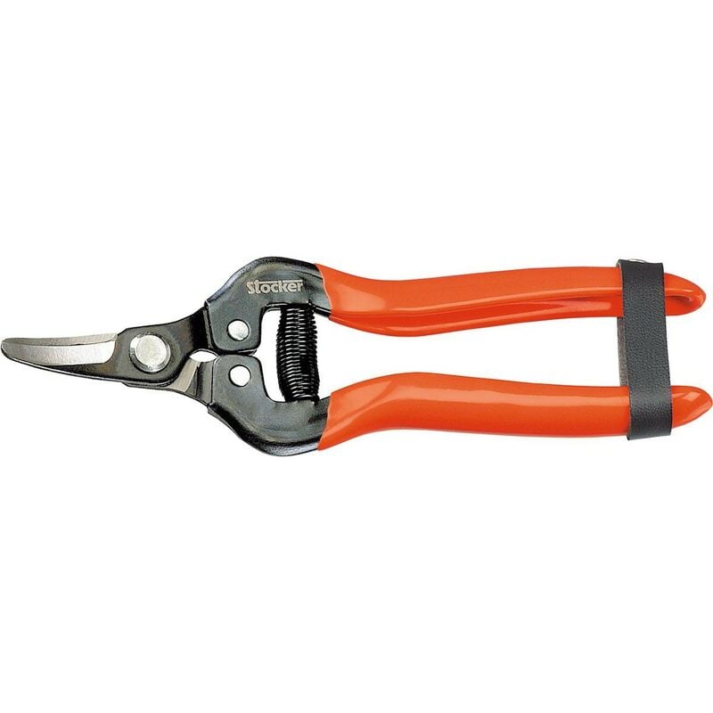 Ciseaux à agrumes lame courbe 16,5 cm - Stocker