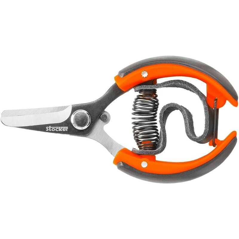Stocker - Ciseaux à agrumes avec sangle 10 cm
