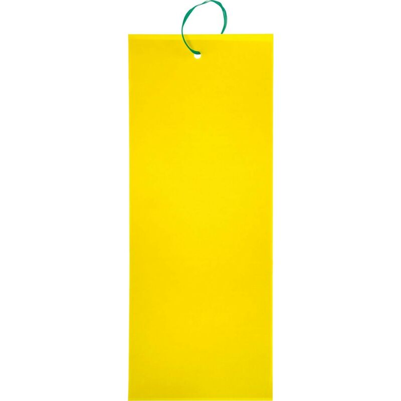 Piège collant à insectes xl 24 x 17 cm - Stocker