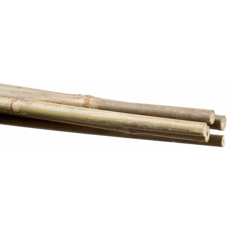 Stocker Reggipiante in bambù 6 8 mm 60 cm