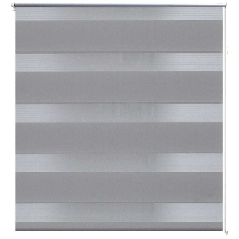 Helloshop26 - Store enrouleur gris tamisant 100 x 175 cm fenêtre rideau pare-vue volet roulant