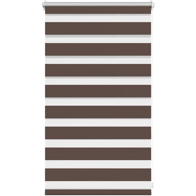 Vidaxl - Store enrouleur tamisant 50 x 100 cm marron