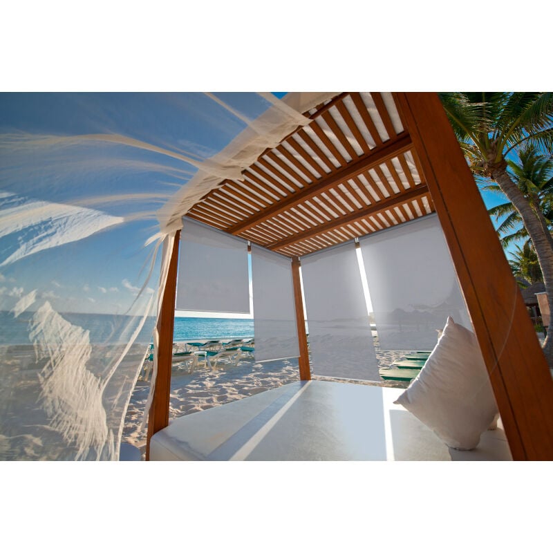 Store Enrouleur Extérieur Microperforé 60x230 cm Silver dickson® Sunworker® M652 - Armature Anthracite