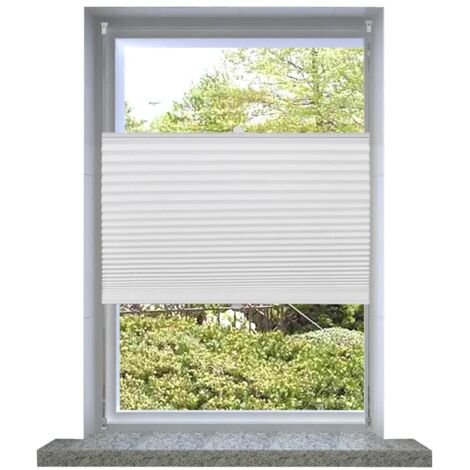 Store plissé, Store Banne, Store jour nuit pour Fenêtre 60x125 cm Blanc PSVB93664 DESIGN IN
