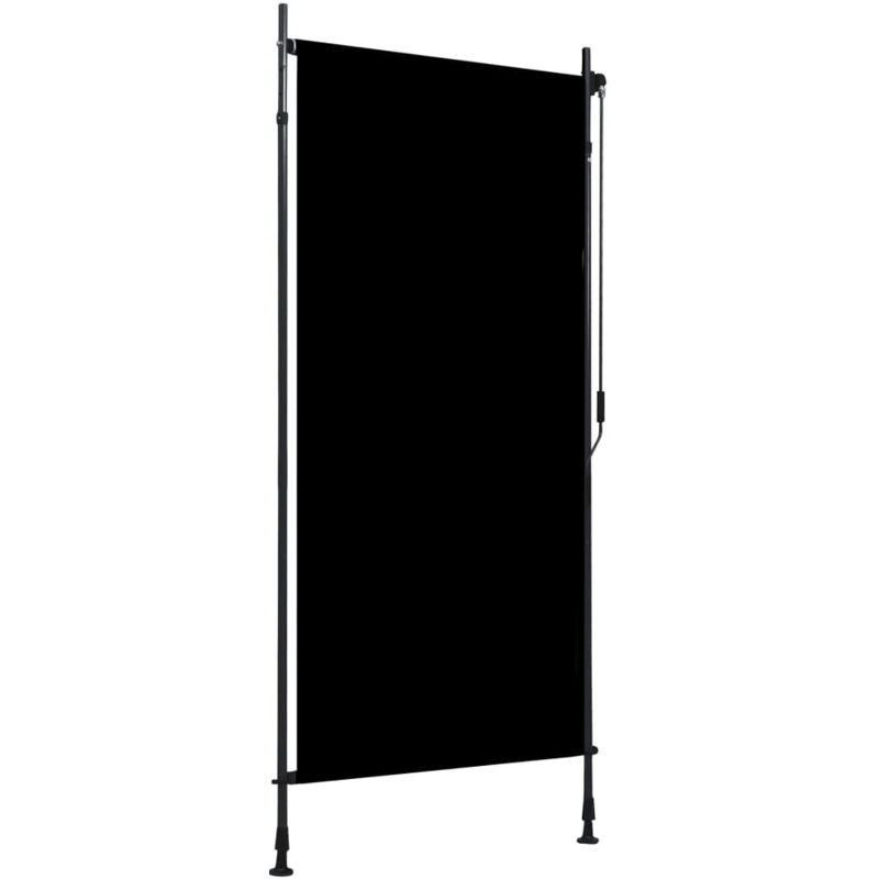 Vidaxl - Tenda A Rullo Per Esterni 100x270 Cm Antracite