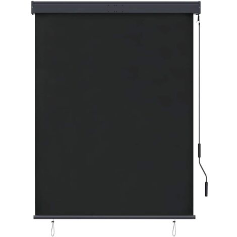 Store roulant d'extérieur 120 x 250 cm Anthracite CFW3867362