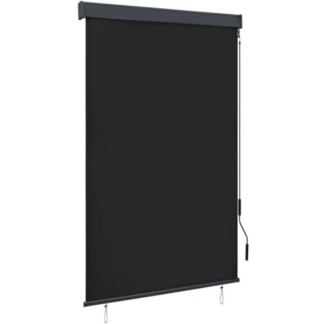 Store roulant d'extérieur 120 x 250 cm Anthracite vidaXL