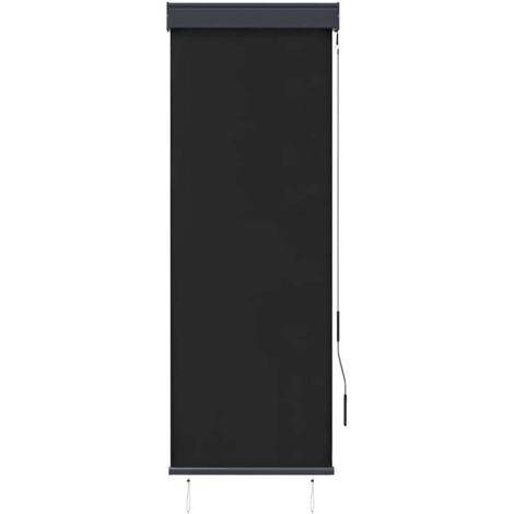 Store roulant d'extérieur 60 x 250 cm Anthracite CFW4964692