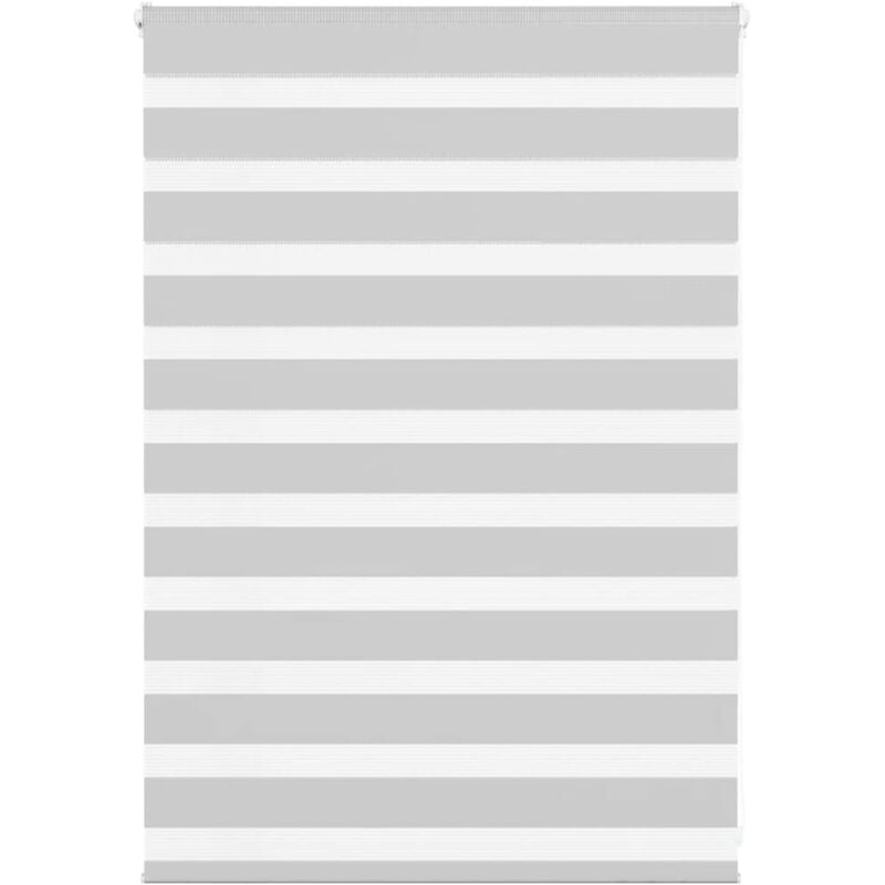 Vidaxl - Store zèbre gris clair largeur du tissu 90,9 cm polyester