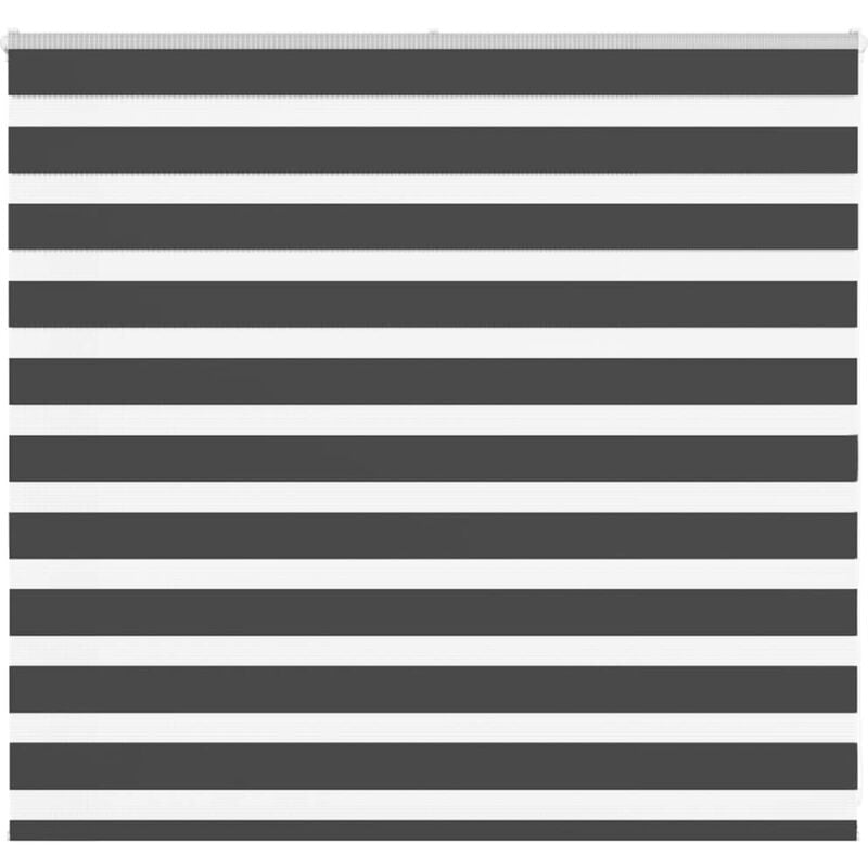 Vidaxl - Store zèbre noir 160x100 cm largeur du tissu 155,9 cm polyester