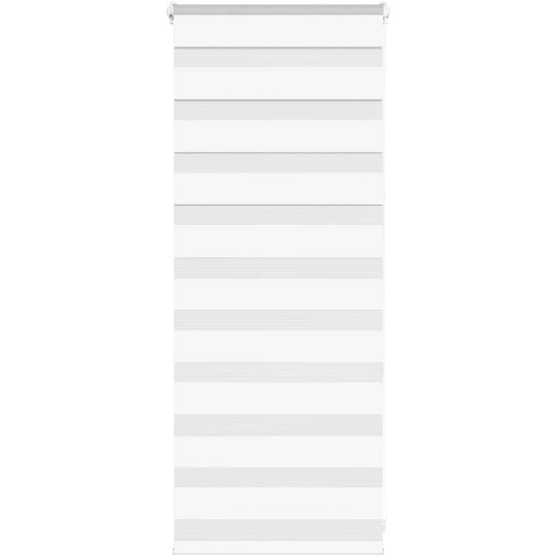 Vidaxl - Store zèbre blanc 65x100 cm largeur du tissu 60,9 cm polyester