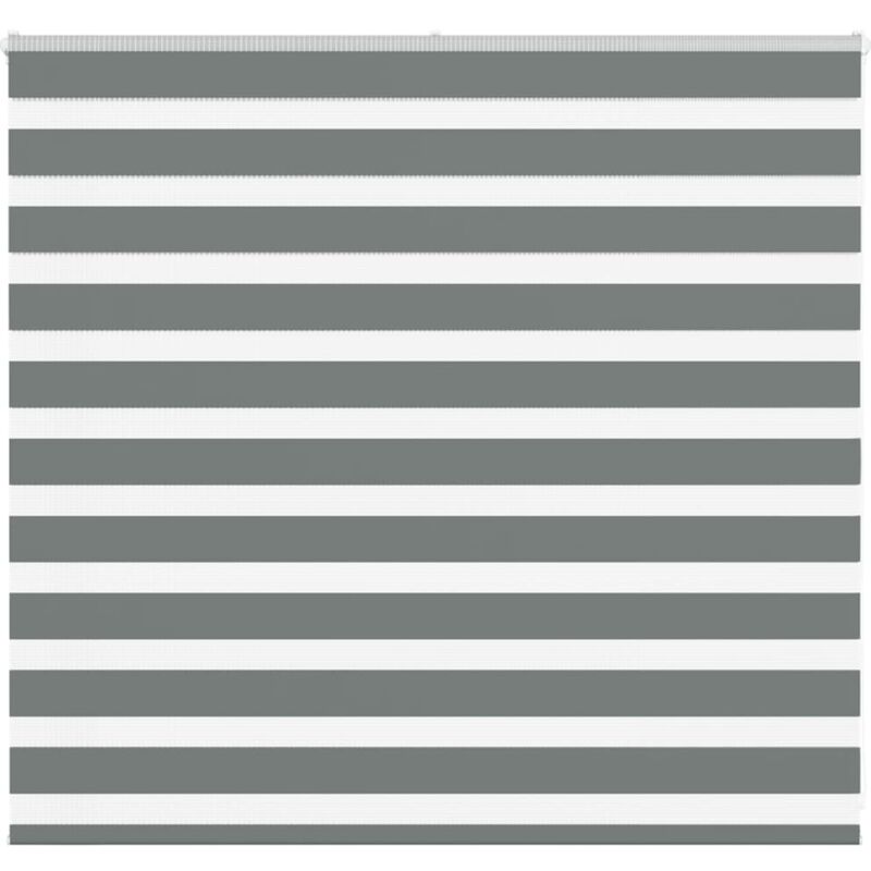 Vidaxl - Store zèbre gris foncé largeur du tissu 150,9 cm polyester