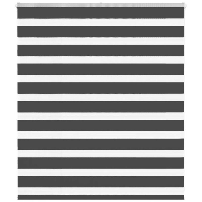 Vidaxl - Store zèbre noir 120x100 cm largeur du tissu 115,9 cm polyester