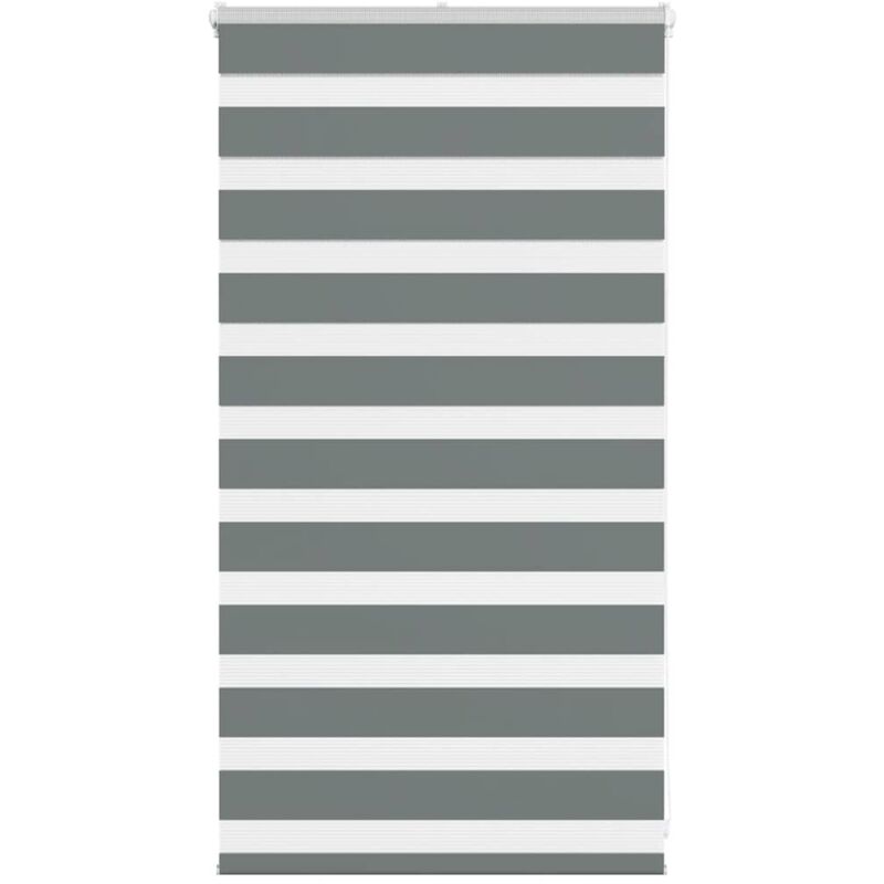 Store zèbre gris foncé largeur du tissu 70,9 cm polyester Vidaxl