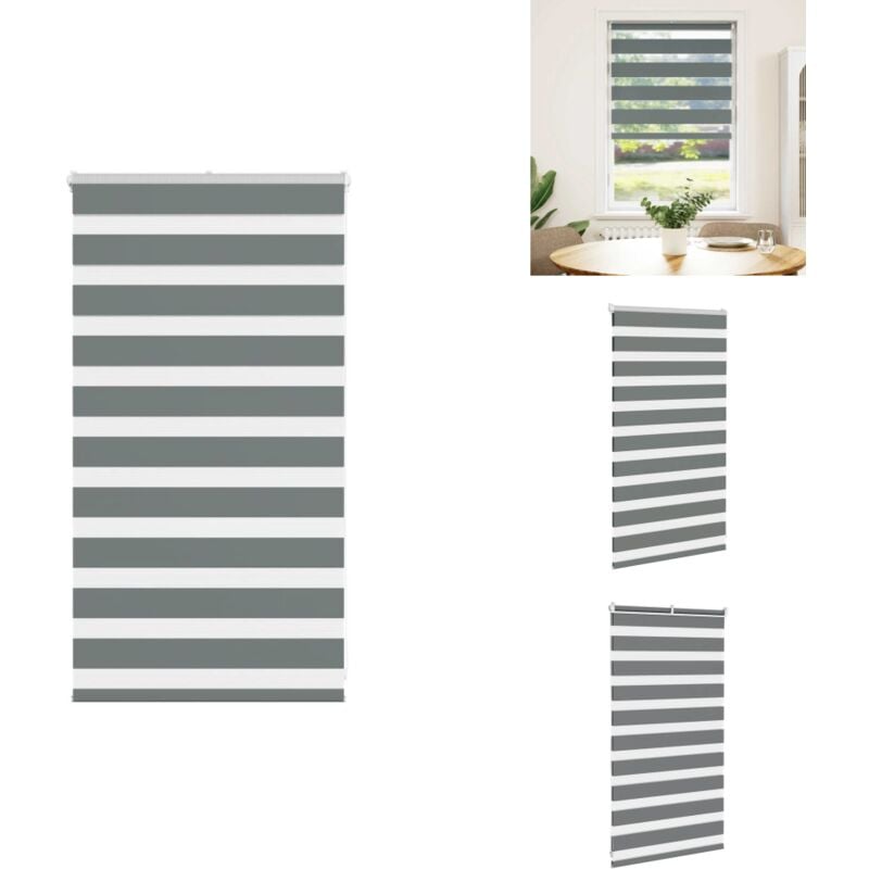 Vidaxl - Store zèbre gris foncé largeur du tissu 75,9 cm polyester - Store Zébré - Stores Zébrés - Store à Enrouleur Zébré - Double Store à Enrouleur