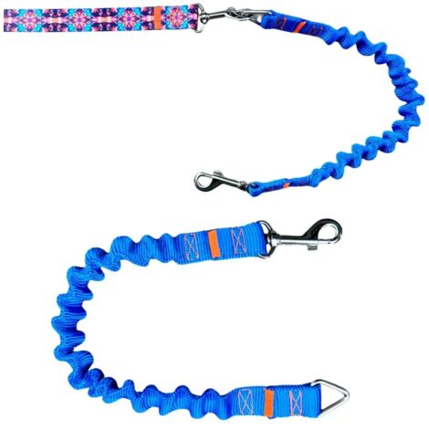 Stoßdämpfer für Hundeleine, blaue traditionelle Sportleine