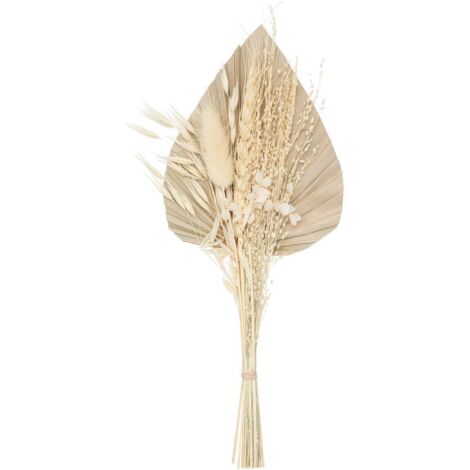 Strauß getrocknete Blumen Seav H31 cm