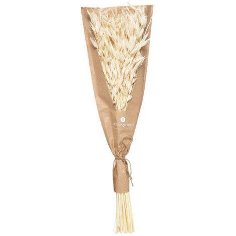 Strauß Trockenblumen H45cm - Model 2