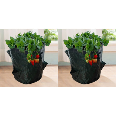 Strawberry Grow Bags, 2PCS 18L/5 Gallon Vegetable Bags, Non-woven Fabric Planting Bag with Window, Garden Vegetable Bag (23X28CM (4 ports))