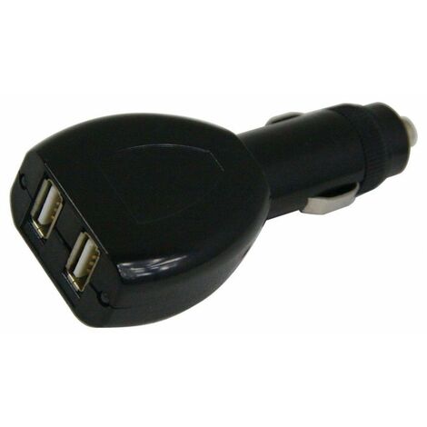 main image of "Streetwize Double USB Socket - SWUSB2"