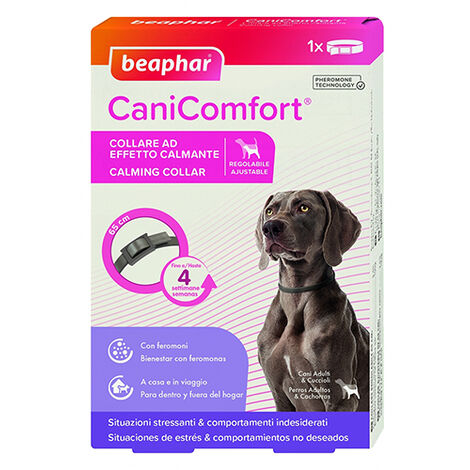 Stress anti -cane di Beaphar Canicomfort Collar, 65 cm