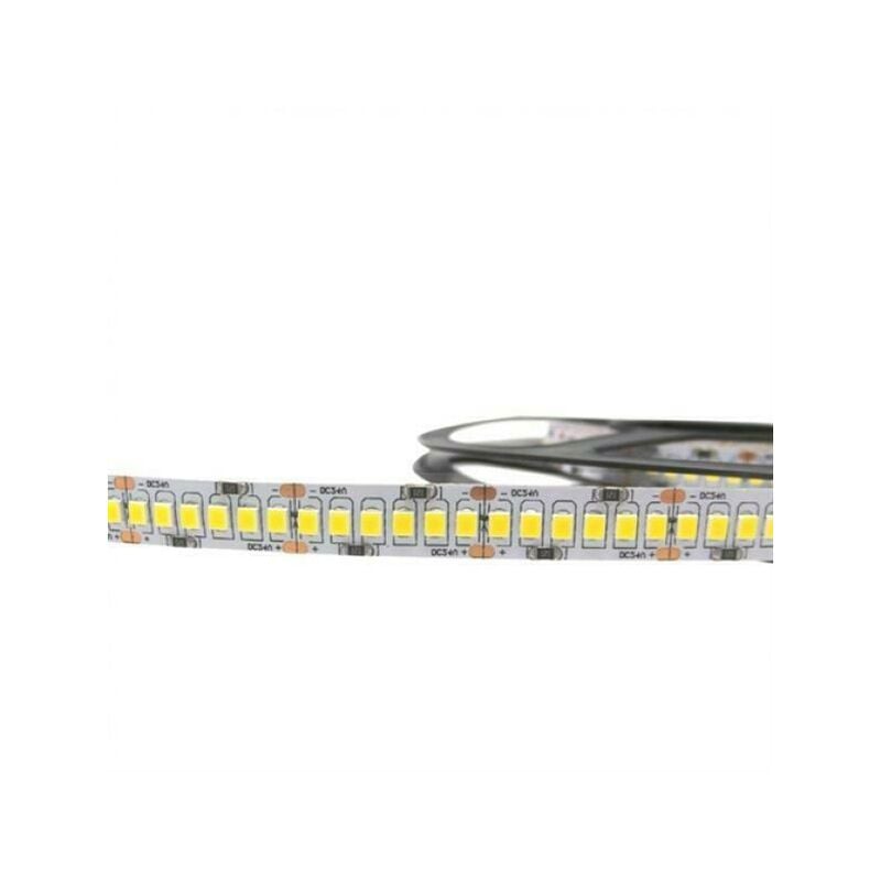 Strip led 5m smd2835 1200led 120w 24v strip coil meters ultraluminous 6400k