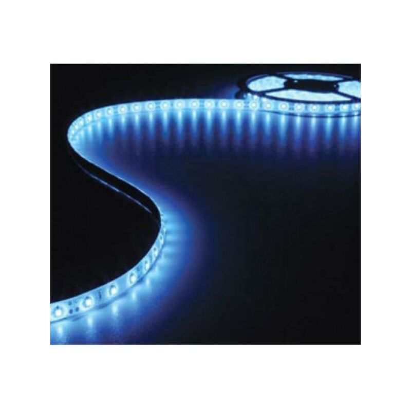 Image of Strip led monocromatica ledco sl60bl65/n-5mt-ip65 60w 24v-luce blu