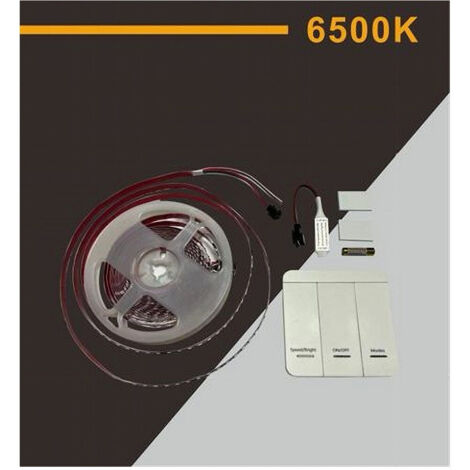 Strip Striscia Led 2835 Flessibile Dc 24v 10 Giochi Luce Ip20 5 Mt W2835-24-120