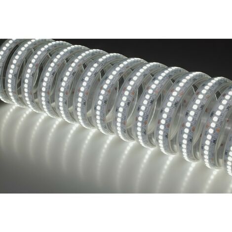 Strip Striscia LED 5 Metri 72W 24V 4000K IP20 1270 lumen