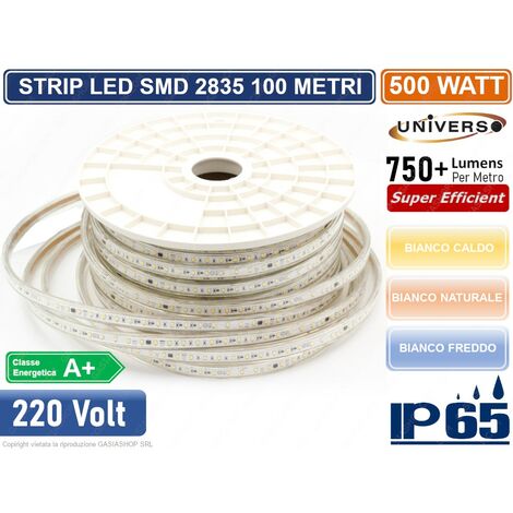 STRISCIA LED 3528 IMPERMEABILE IP65 220V MONOCOLORE 120 LED/METRO - BOBINA DA 100 METRI - Colore Luce: Bianco Freddo