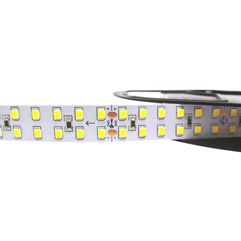 Striscia led 5m smd2835 24v DC 150w 1200led ip20 S12-2835-24VLuce Fredda 6400k