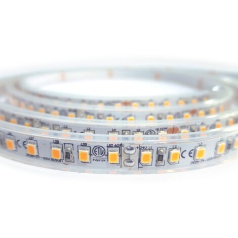 Striscia Led Pro 14,4W/Mt 24V Dc 3000K Ip67 5 ( MARINO CRISTAL cod. 21924/24 )