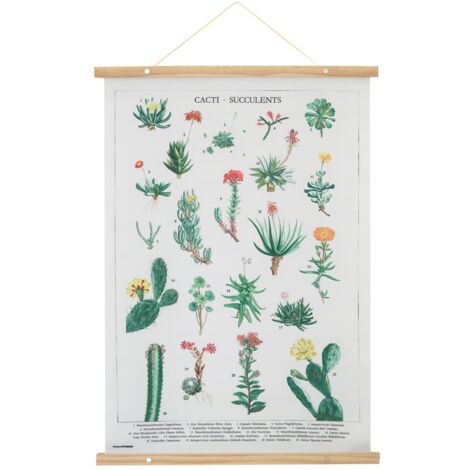 Striscione in legno cactus botanici kokonote